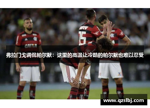 弗拉门戈调侃帕尔默：这里的高温让冷酷的帕尔默也难以忍受