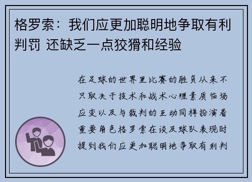格罗索：我们应更加聪明地争取有利判罚 还缺乏一点狡猾和经验