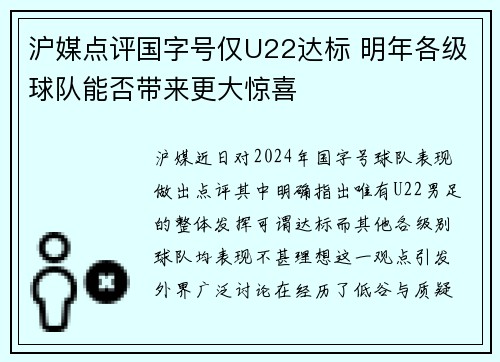 沪媒点评国字号仅U22达标 明年各级球队能否带来更大惊喜